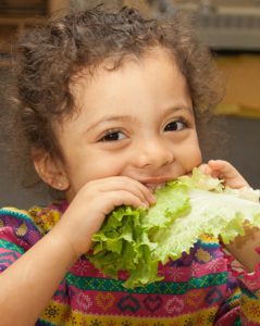 Preschooler eating lettuce